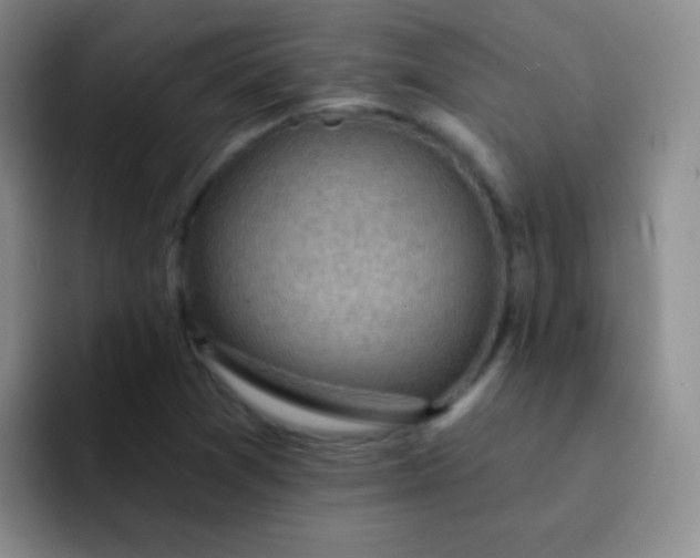 X0000092041361200709261943