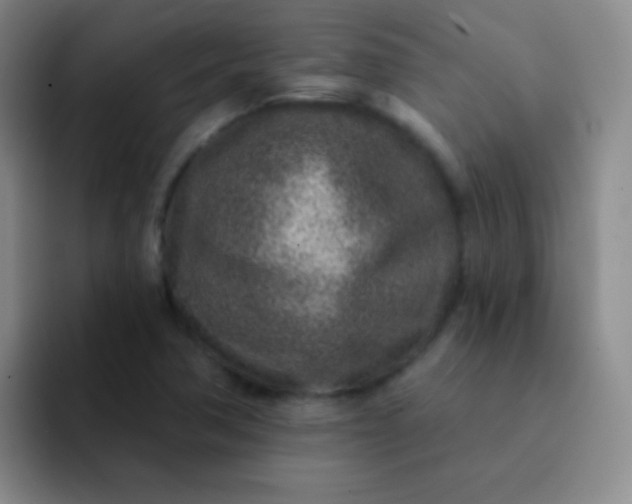 X0000092041362200709261943