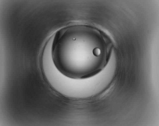 X0000092041365200709261943