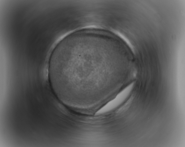 X0000092041367200709261943