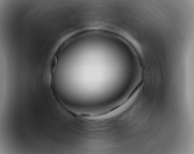 X0000092041368200709261943