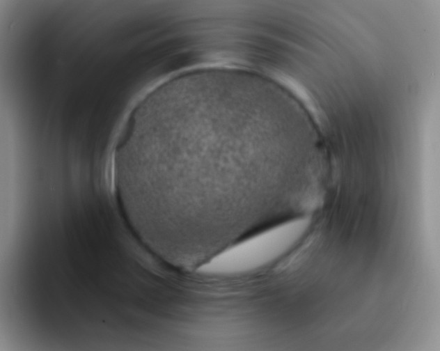 X0000092041371200709261943