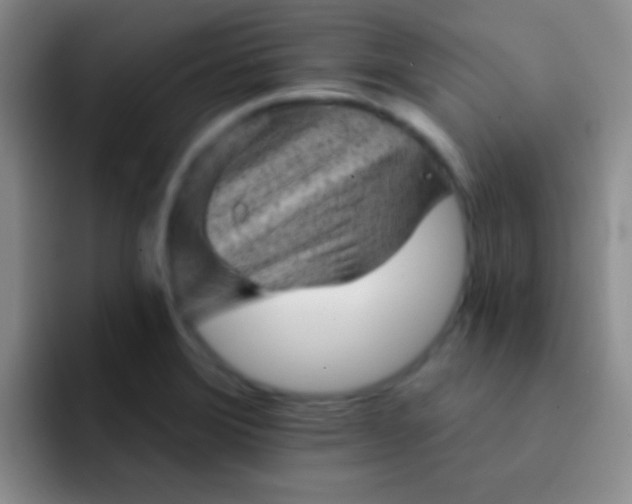 X0000092041372200709261943