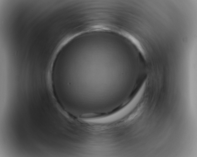 X0000092041373200709261943