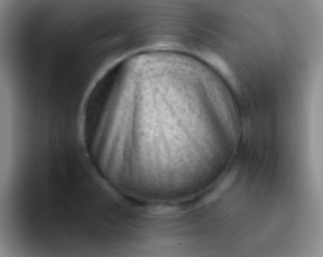 X0000092041374200709261943