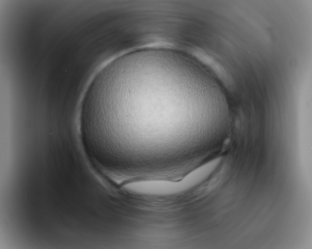 X0000092041375200709261943