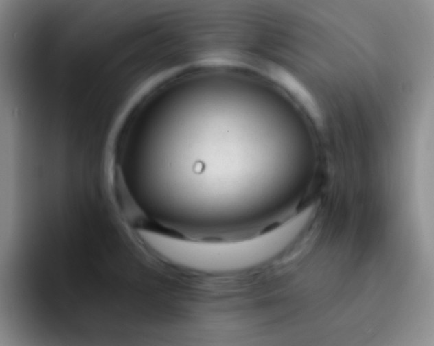 X0000092041376200709261943