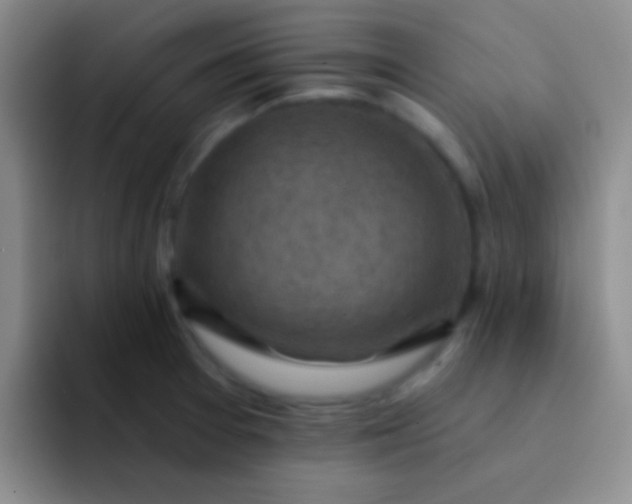 X0000092041377200709261943