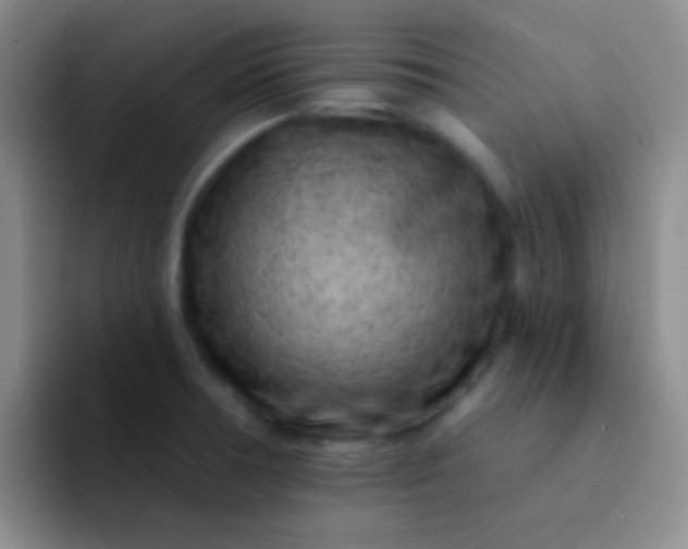 X0000092041378200709261943