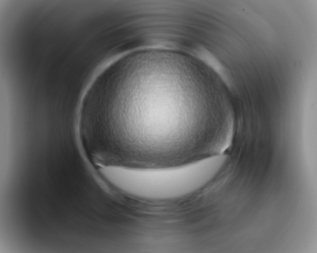 X0000092041379200709261943