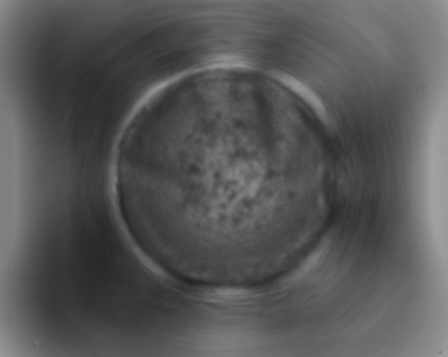 X0000092041383200709261943