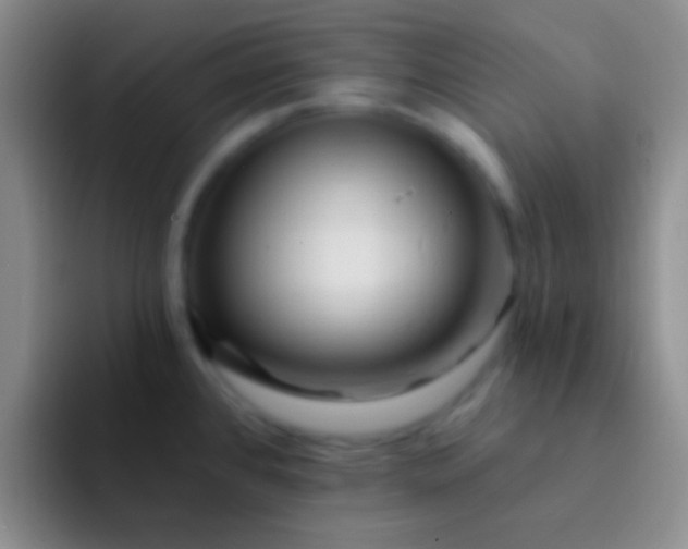 X0000092041384200709261942