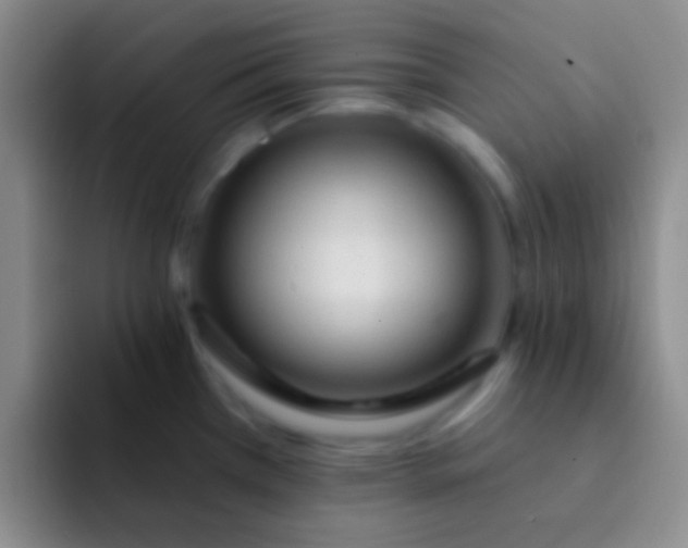 X0000092041385200709261942