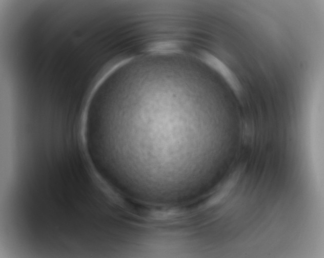 X0000092041386200709261942