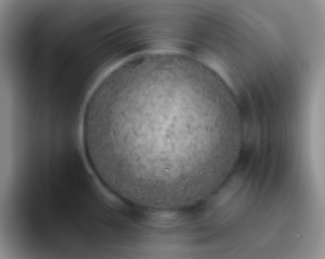 X0000092041387200709261942