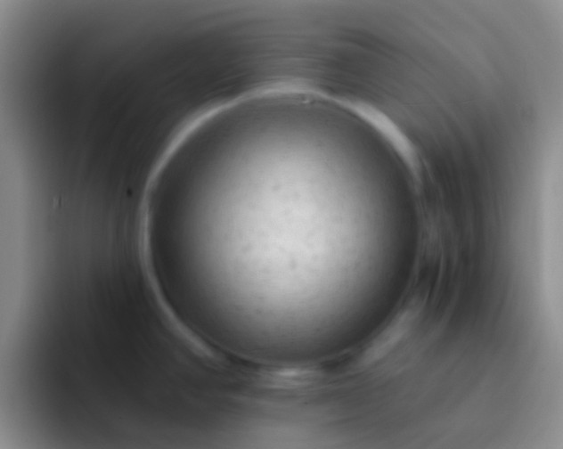 X0000092041390200709261942