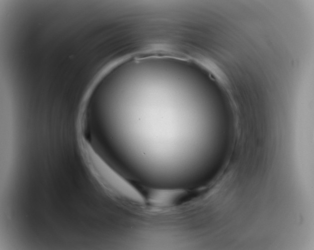 X0000092041392200709261942