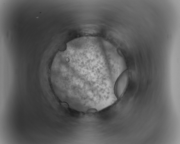 X0000092041393200709261942