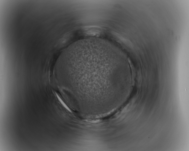 X0000092041394200709261942