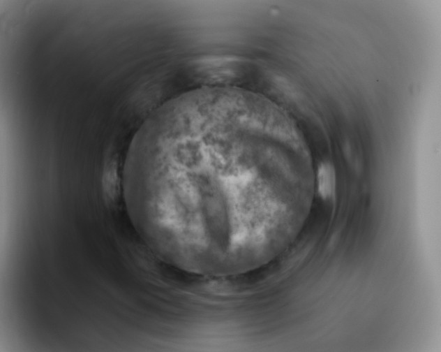 X0000092041395200709261942