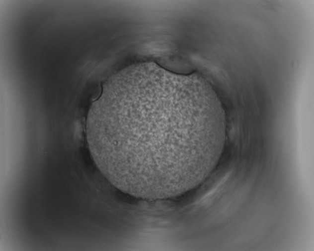 X0000092041397200709261942