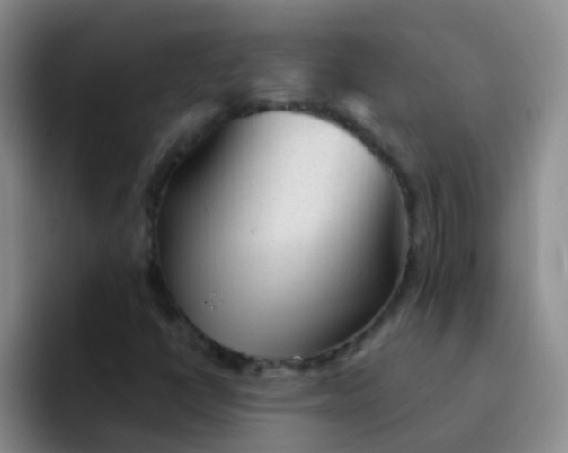 X0000092041398200709261942