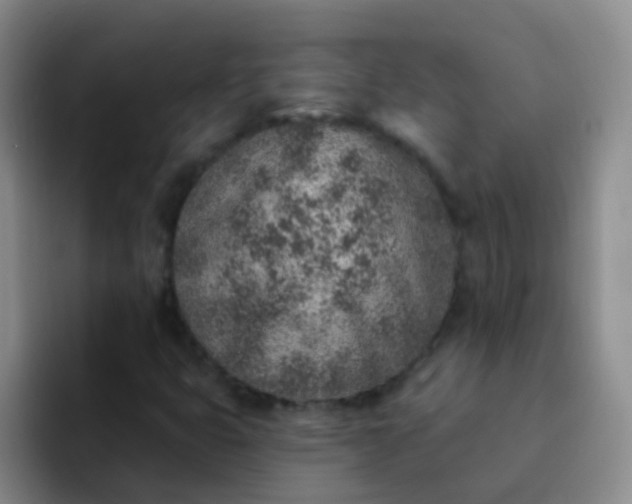 X0000092041399200709261942