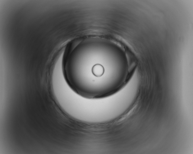 X0000092041402200709261942