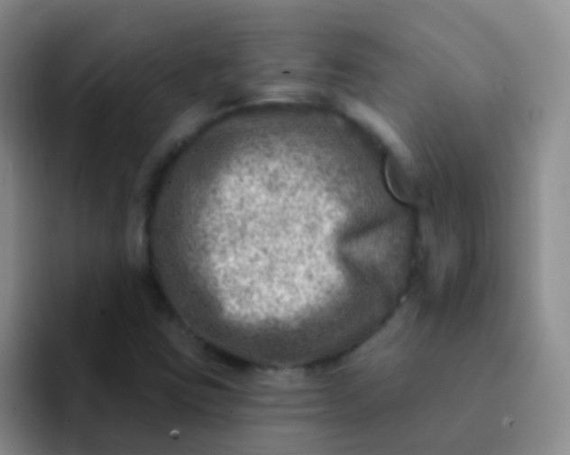 X0000092041403200709261942