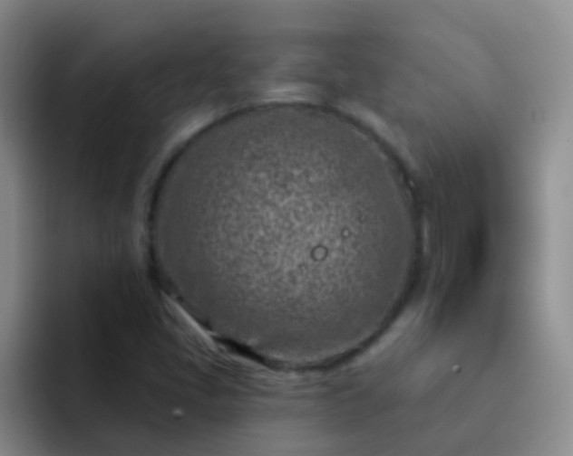 X0000092041405200709261942