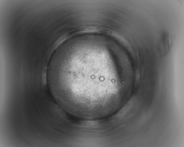 X0000092041409200709261942