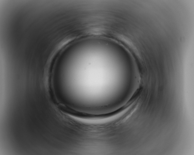 X0000092041410200709261942