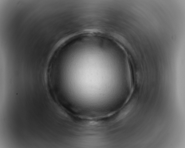 X0000092041412200709261942