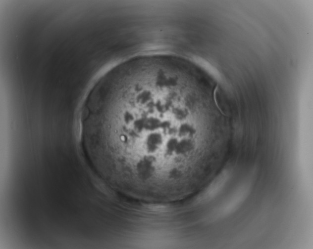 X0000092041413200709261942