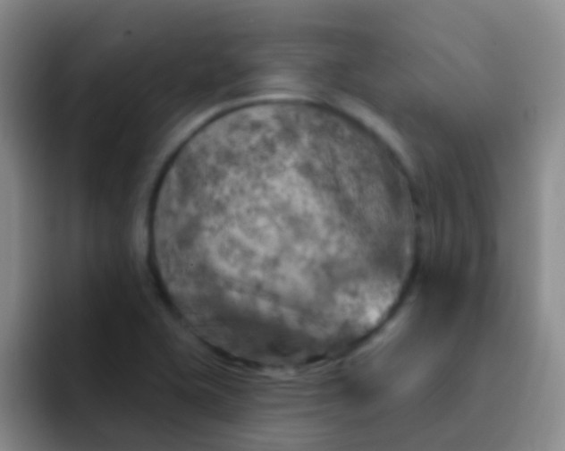 X0000092041415200709261942