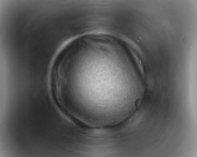 X0000092041416200709261942