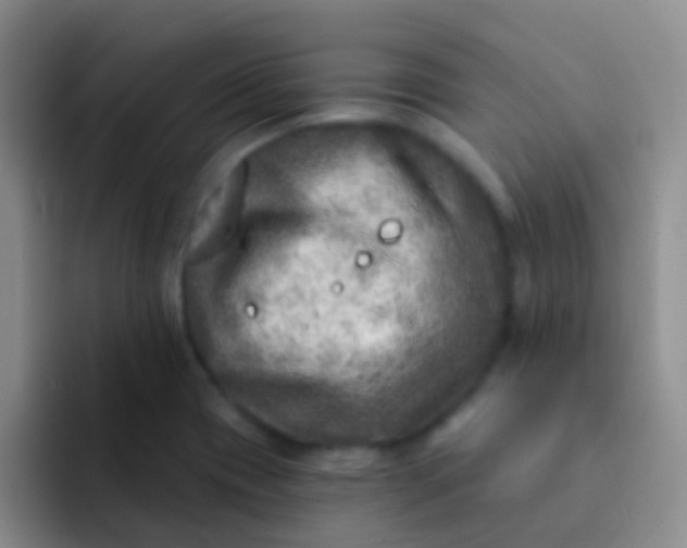 X0000092041417200709261942