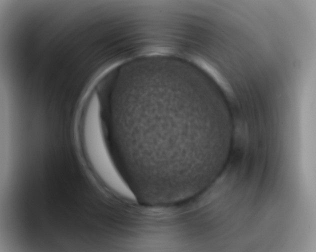 X0000092041418200709261942