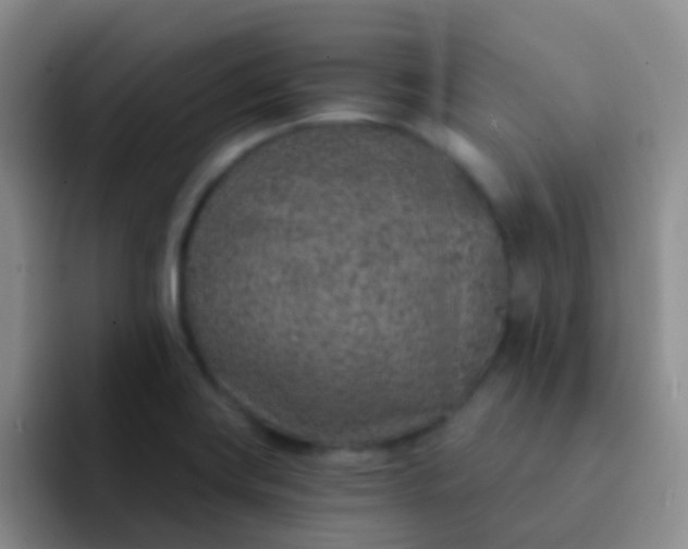 X0000092041419200709261942