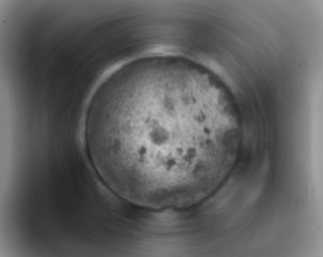 X0000092041421200709261942