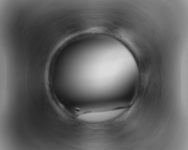 X0000092041422200709261942