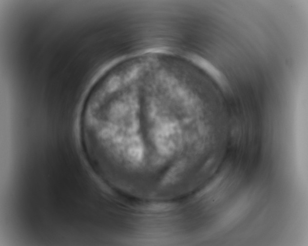 X0000092041423200709261942