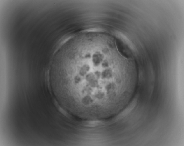 X0000092041425200709261942