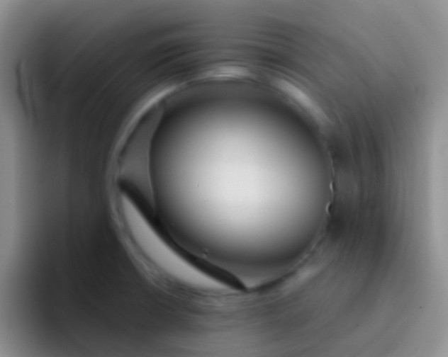 X0000092041426200709261942