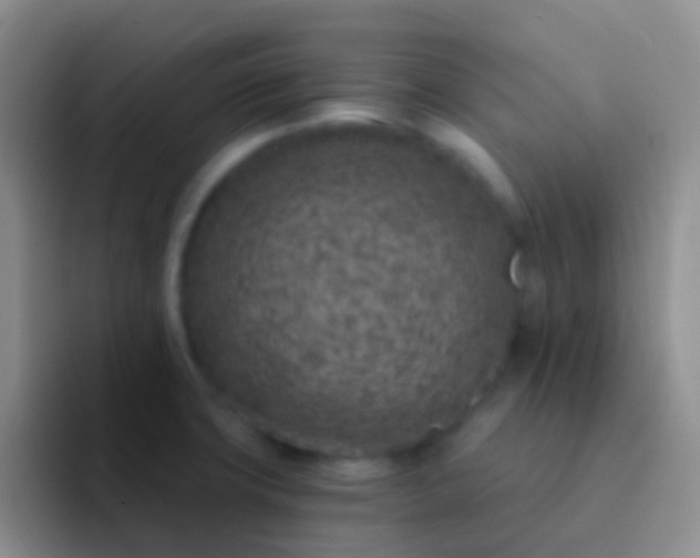 X0000092041427200709261942