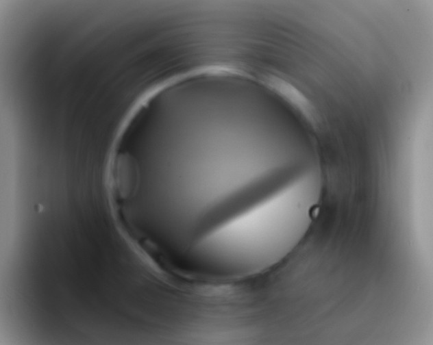 X0000092041428200709261942