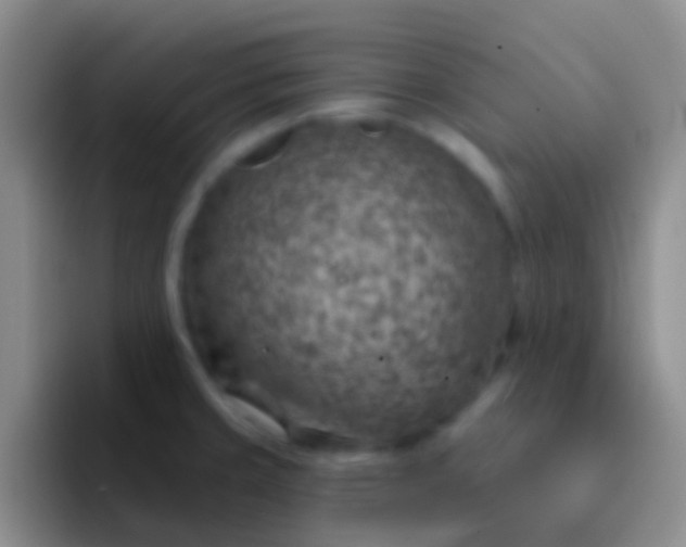 X0000092041429200709261942