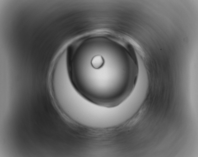 X0000092041430200709261942