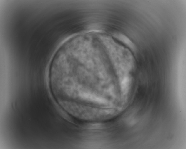 X0000092041431200709261942