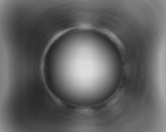 X0000092041432200709261942